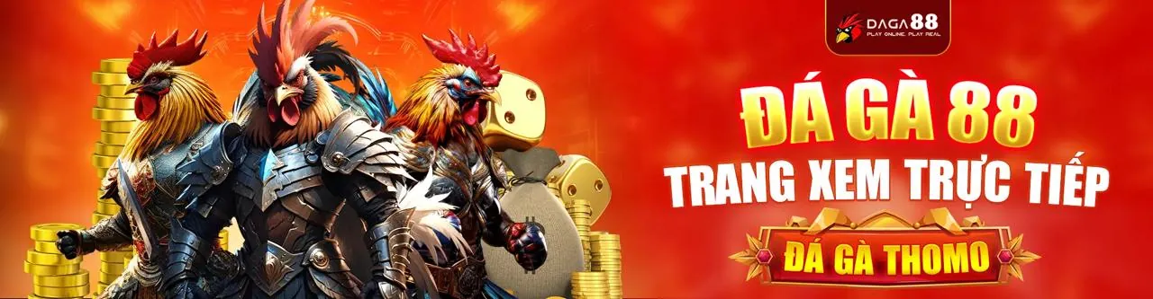 Sân đấu đá gà trực tuyến sôi động tại PK789